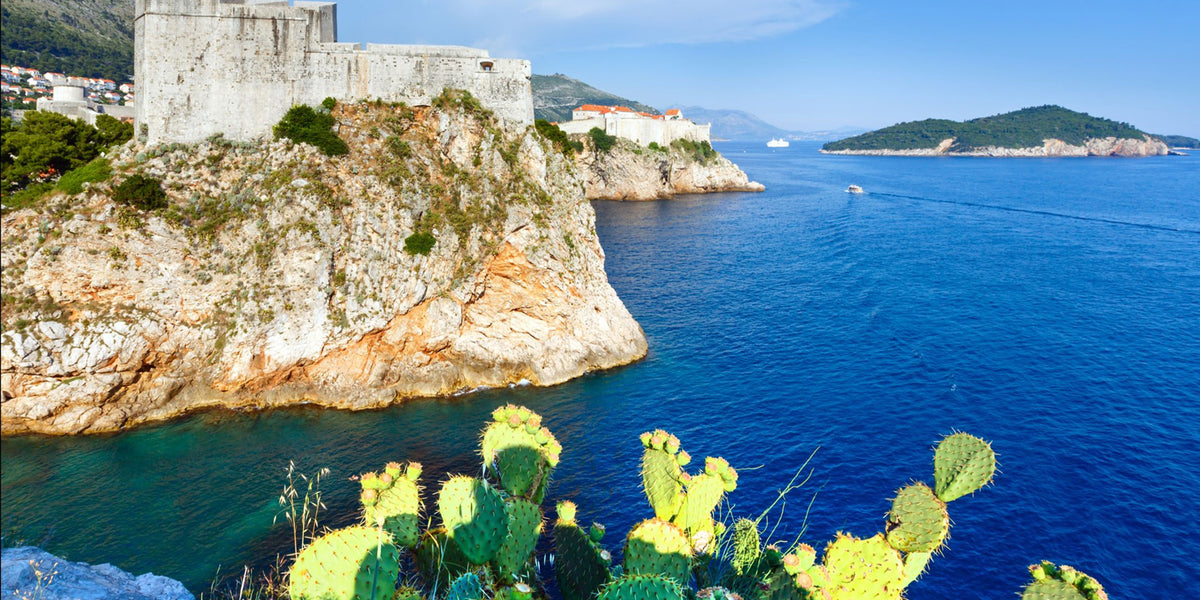 Stadt Dubrovnik mit Kaktus im Vordergrund